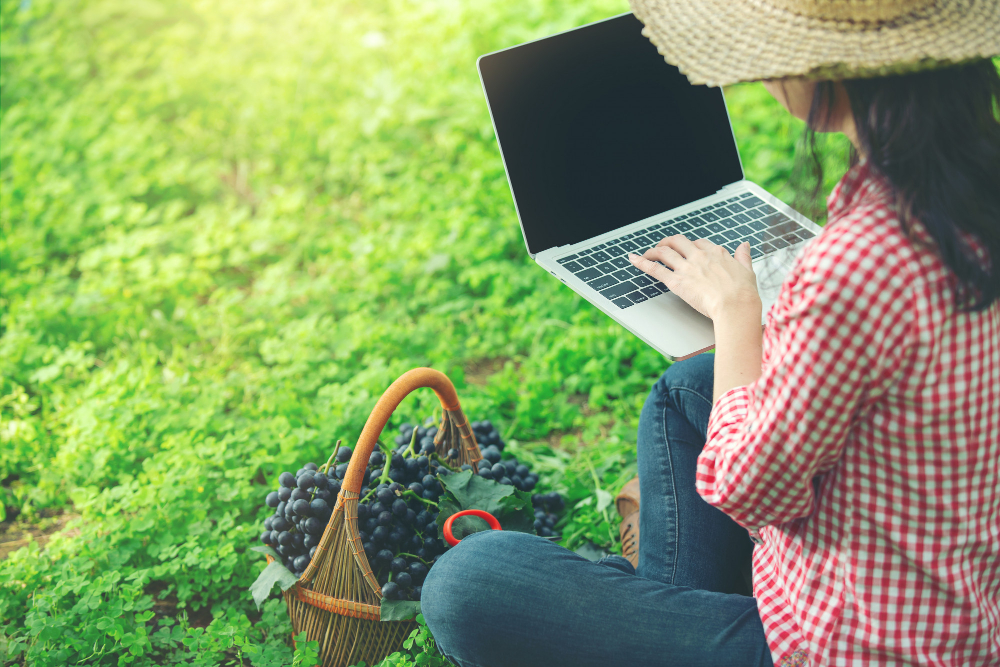 a girl sitting in a park and using laptop