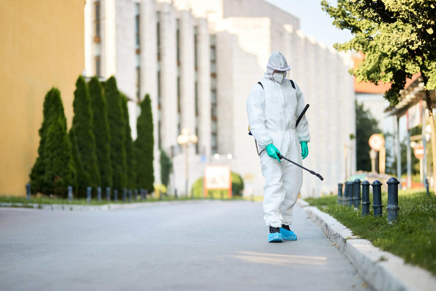 10 Ideas for Utilizing Pest Control Services for Business and Commercial Properties