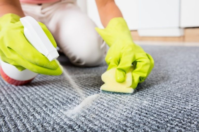 How To Remove Mold Odor From Carpet