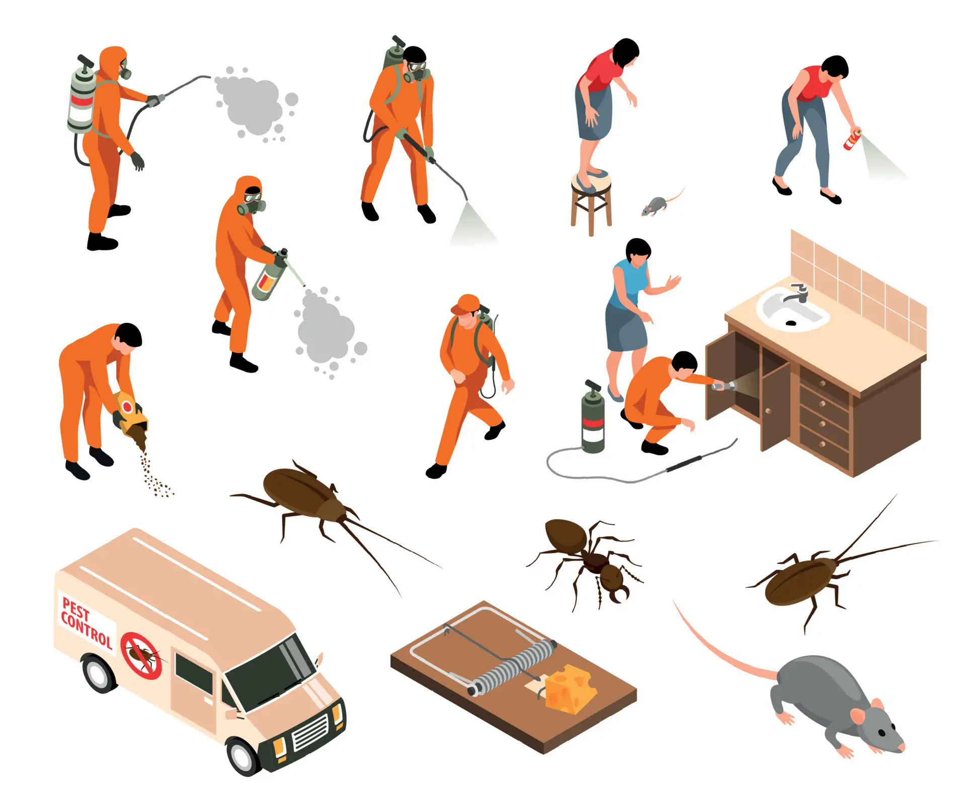 Pest Control in Lahore