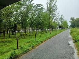 Buy Property in Rudrapur