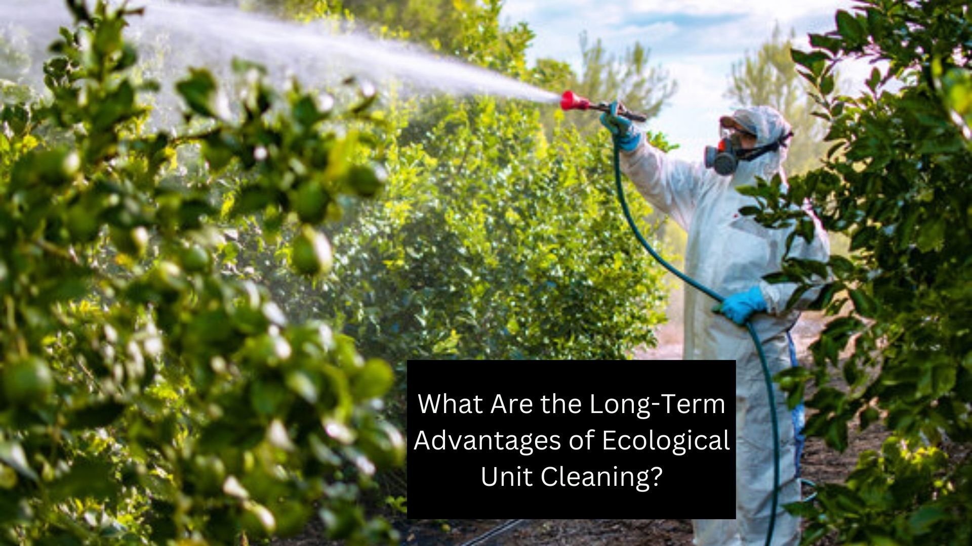 What Are the Long-Term Advantages of Ecological Unit Cleaning