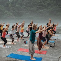 Yoga Teacher Training for Beginners and Experienced Yogis