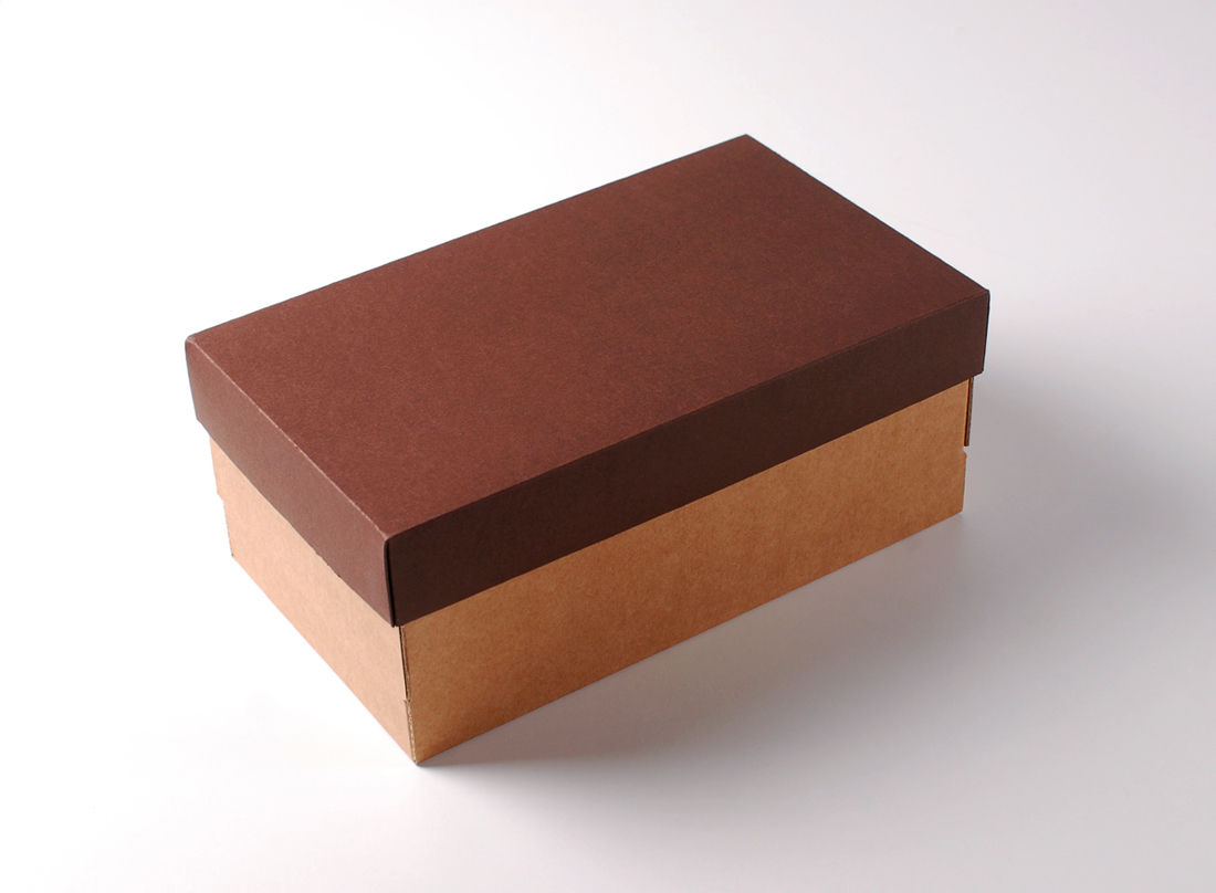 Cardboard Shoe Boxes