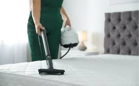 carpet cleaning services