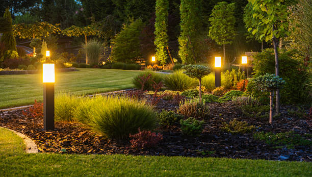 landscape lighting