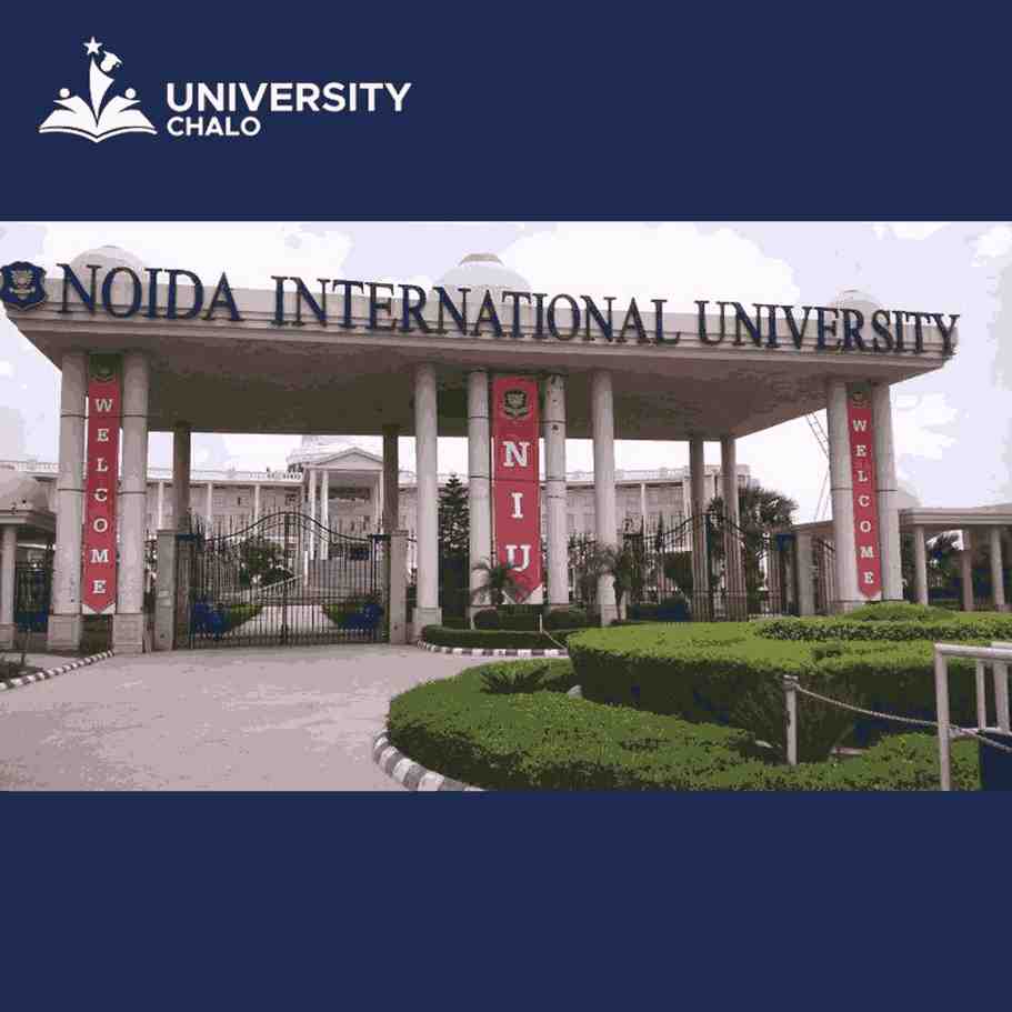 noida international university ranking