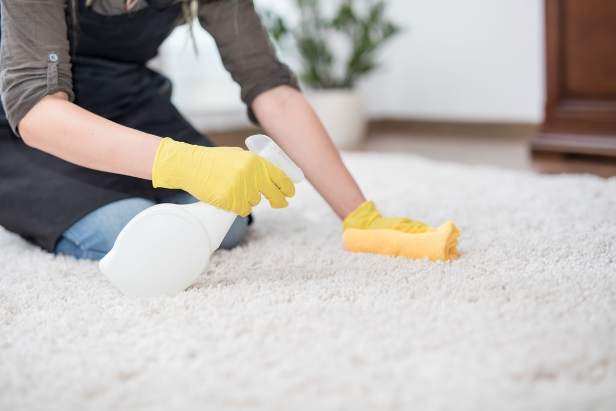 removing mold from carpet