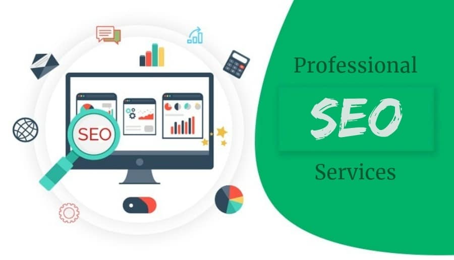 Professional SEO Services