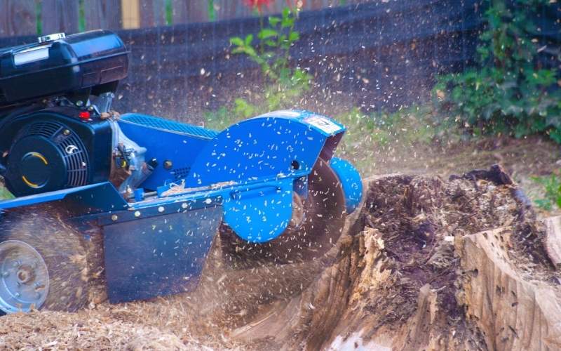 Stump Grinding