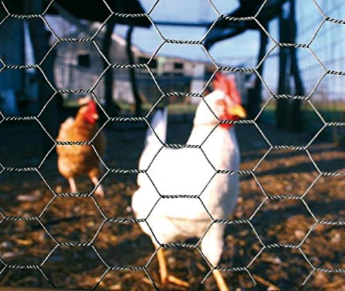 chicken wire mesh applications