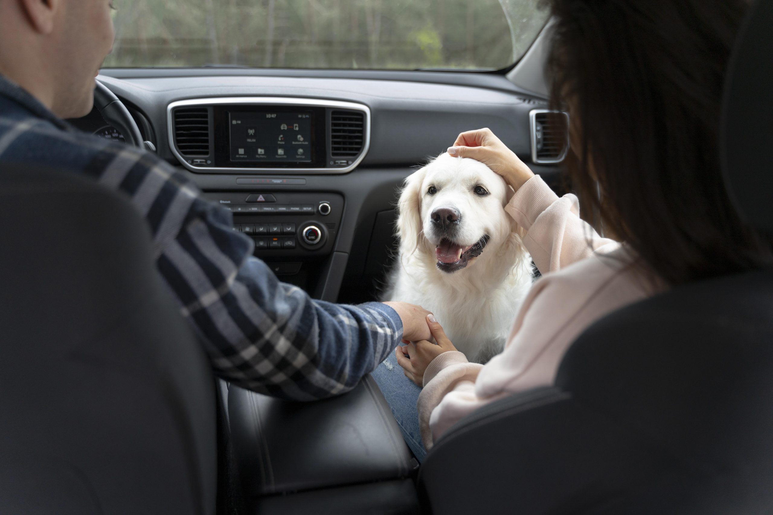 pet transport service