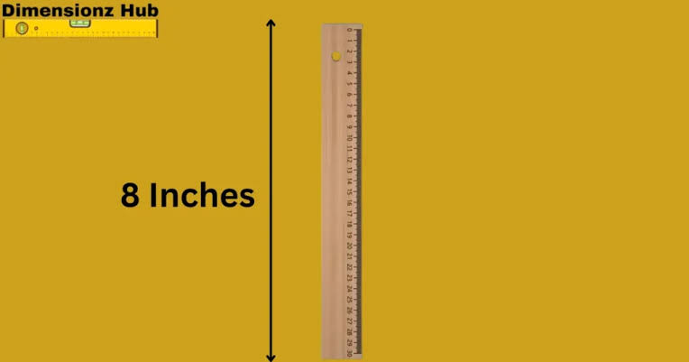 is 8 inches long